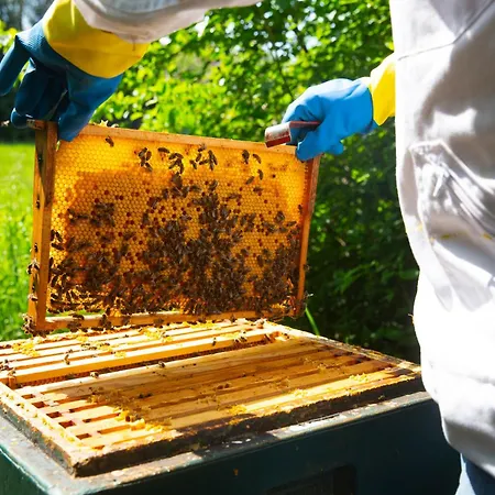 Haus Holtdirk * ליפשטאדט