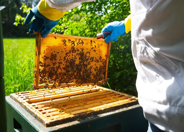 Haus Holtdirk * 利普施塔特